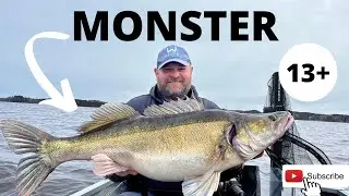 13 KG +zander!!!     Pelagic fishing in spring    (Finland part 2)