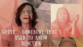 FIRST TIME Reaction + lil’ Surprise - Gotye Somebody that I used to know  #reactionvideo #singer