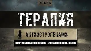 286. Терапия антиэстрогенами для повышения собственного тестостерона (Химический бункер)