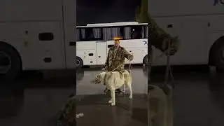 Каплан чемпион Ставропольского края