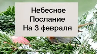 Небесное послание на 3 февраля. Правильные мысли.