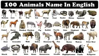 100 animals name in english with pictures | animals vocabulary in english | animals names |