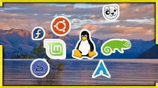 Choose the Best Linux Distro for You