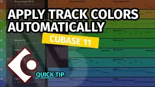 HOW TO APPLY TRACK COLORS AUTOMATICALLY | Quick Tip Cubase 11