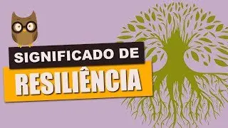 SIGNIFICADO DE RESILIÊNCIA