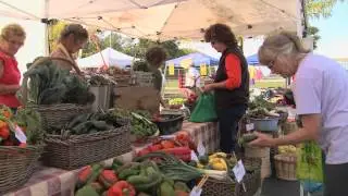 Farmers' Markets: Advice from Market Masters
