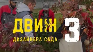 Ландшафтный движ (3 часть). Посадка крупномерных растений #озеленение #сад