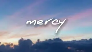 Shawn Mendes - Mercy (Lyrics)