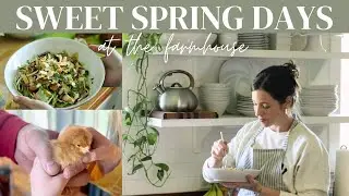 Spring Farmhouse Life | Freshening up our home, welcoming farm babies & a delicious spring salad!