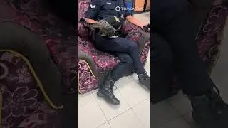 Gemes! Kucing K-9 Milik Polisi Malaysia!🐱