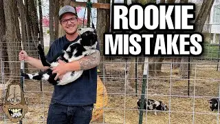 Goat Fencing Mistakes And How We Fixed Them!