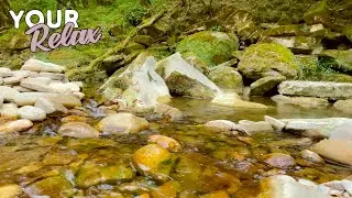 Sounds of a mountain stream. The murmuring sounds of flowing water. 8 hours for sleep and rest.