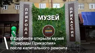 В Дербенте открыли музей «Природы Прикаспия» после капитального ремонта