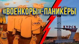 В чём цель авантюры ВСУ в Курской области?