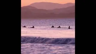 Surfers at Byron Bay during sunset on the main beach area  #byronbay #mainbeach