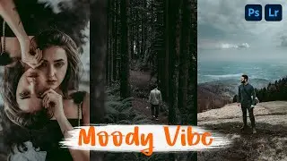 MOODY COLOR GRADING PRESET - DNG & XMP - MOBILE & DESKTOP PRESET