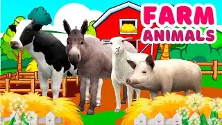 Farm animals for Kids Horse Cow Sheep Goat Donkey Pig