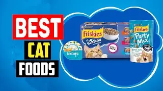 ✅Top 5 Best Premium Dry Cat Foods in 2024