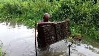 Traditional Fish Trapping In Bamboo Cage | Catching Tiny Country Fish