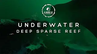 8 Hours of Subnautica Ambience | Subnautica ASMR Ambience | Subnautica Sounds | Underwater Ambience