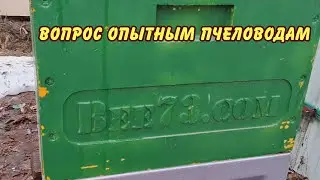 вопрос опытным пчеловодам