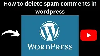 how to delete spam comments in WordPress