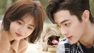 CEO makes a Cunning Kitty Plan and Throw a Purr-fect Birthday Bash to Chase His Girlfriend Back!😽😉