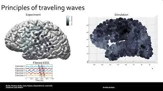The Virtual Brain in Clinical Research: An Introduction - Prof. Petra Ritter