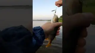 на блесну вертушку #fishing #shorts