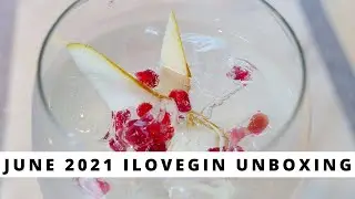 June 2021 ILoveGin Unboxing | The Gintern