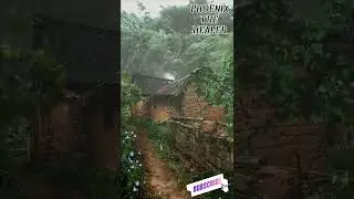 HEAVENLY rain with Peaceful relaxing piano sound in forest • forest rain •wind flow • shorts •relief