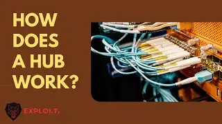 How the Networking Hub works in reality | Cisco Packet Tracer Simulation