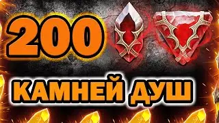 200 Камней душ Открытие Raid Shadow Legends !