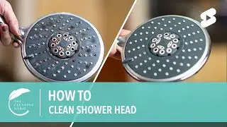 How to Clean Shower Head #shorts