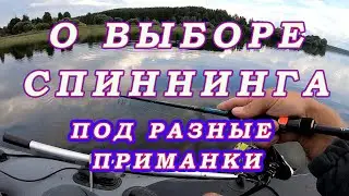 Как выбрать спиннинг ДЛЯ РАЗНЫХ ПРИМАНОК!  Спиннинг ДЛЯ НАЧИНАЮЩИХ  и не только.