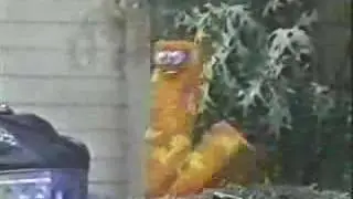 Classic Sesame Street - Rebel L