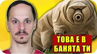 ТОП 10 СЪЩЕСТВА, КОИТО ЖИВЕЯТ В ТЯЛОТО И ДОМА ВИ