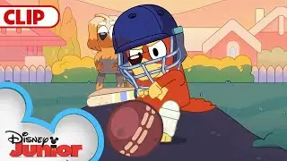 Bluey Season 3 Cricket Episode Clip | @disneyjunior x @BlueyOfficialChannel