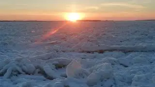 Ловим миногу. День 2#.