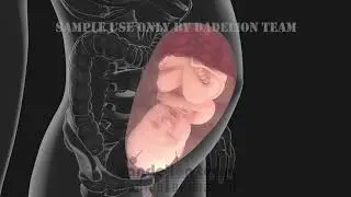 Normal Vaginal Childbirth and birth Canal