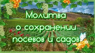 Молитва о сохранении посевов и садов.