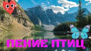 Пение птиц / Звуки природы Nature Sounds - Успокаивающее пение птиц / Звуки леса