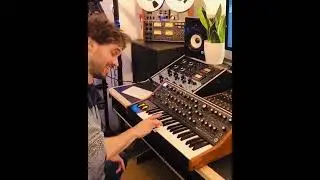 Disco Moog Solo 🎹 Marcello Cassanelli Live Performance