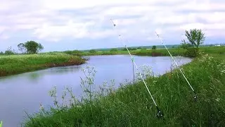 Рыбалка на крокодил, донки, поплавок. Сломал новый спиннинг. Карась козел. Часть № 1.