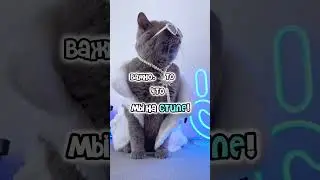 Мы на стиле 