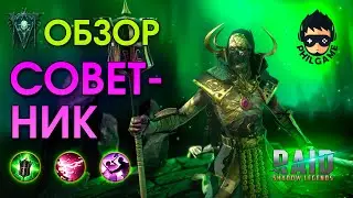 Советник обзор | RAID: Shadow Legends