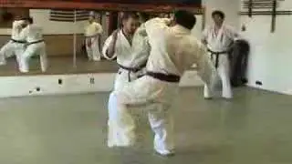 Ashihara Karate USA