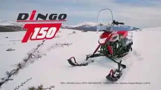 Разборный снегоход Динго Т150 – друг молодежи!