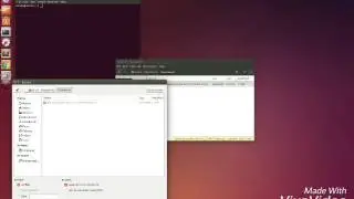 How to open android studio on linux