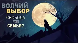 Волчий выбор.Свобода или семья?(2019#Документальный#природа#флора#фауна)HD-качество